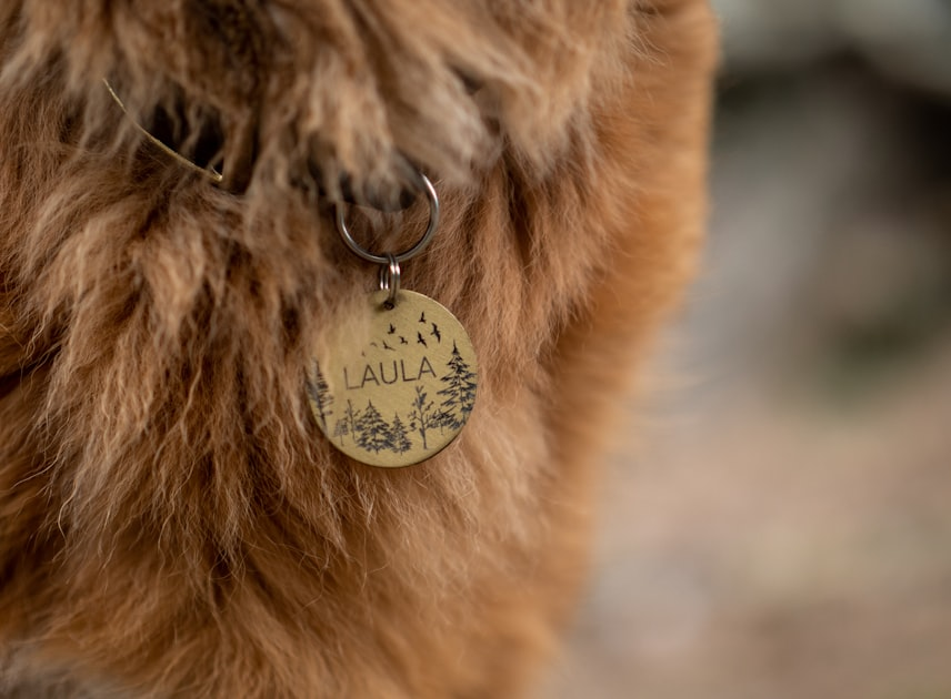 Personalized Tags for Every Occasion